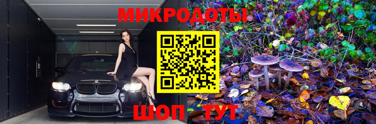 Псилоцибиновые грибы Cubensis Елец