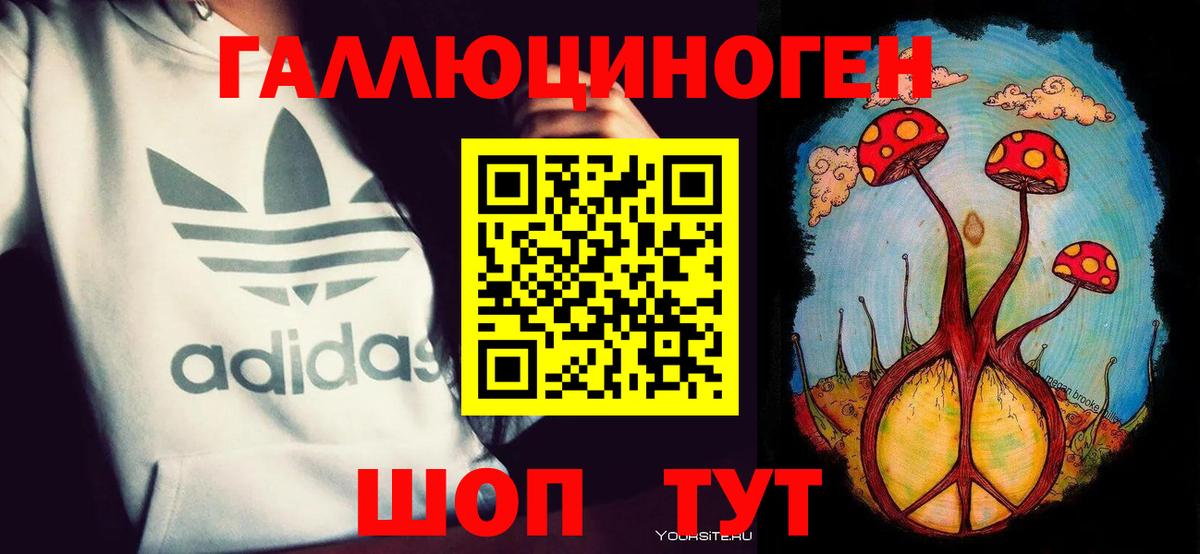 Елец  что такое   Псилоцибиновые грибы прущие грибы  Вход с VPN  Галлюциногенные грибы Cubensis 