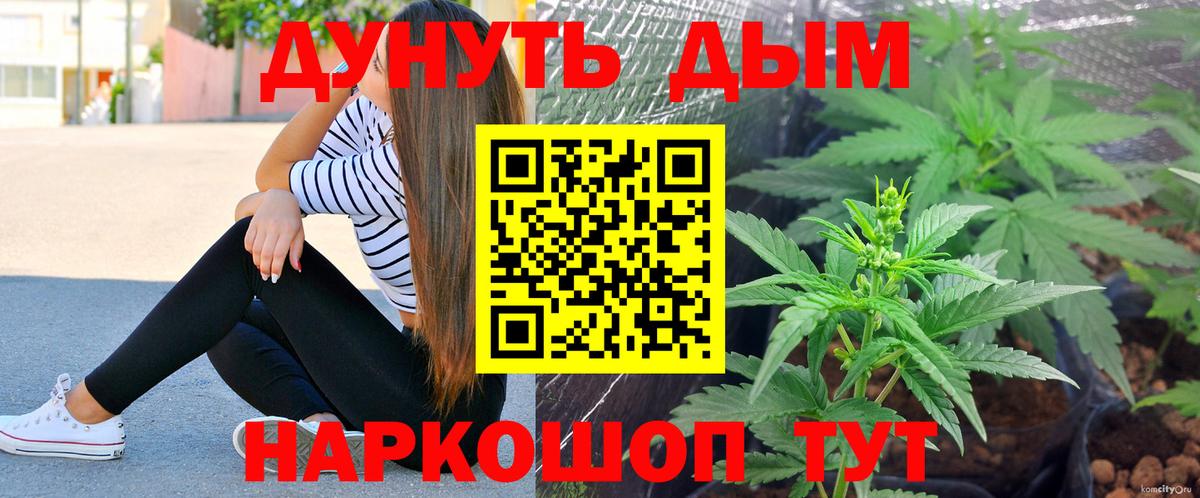 Канабис OG Kush Елец