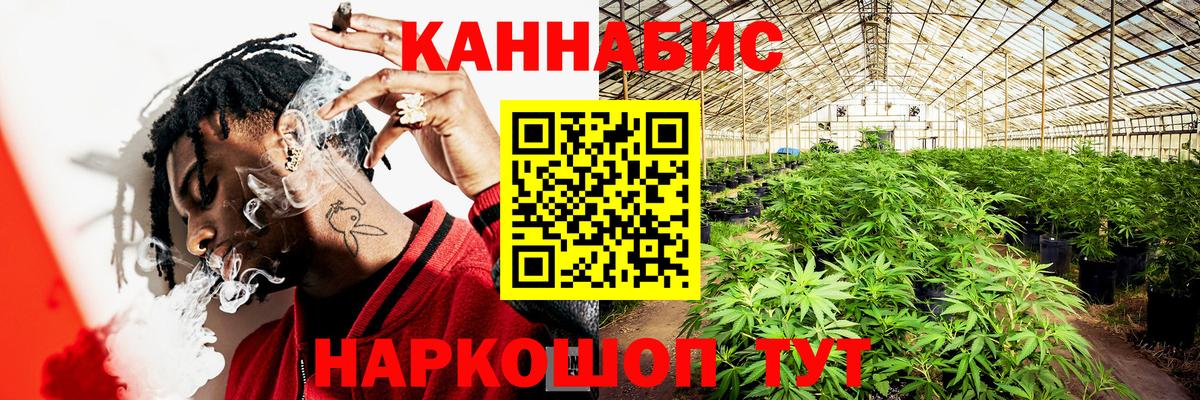 Елец  Бошки Шишки тримм  Конопля марихуана  Канабис индика  Вход с VPN 